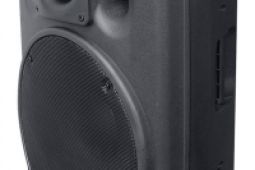 DEXON Profesionální subwoofer pasivní BCW